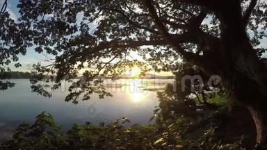 日落时，树木的轮廓装饰了湖景。